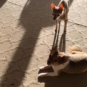 Meet your Posher, Nancy